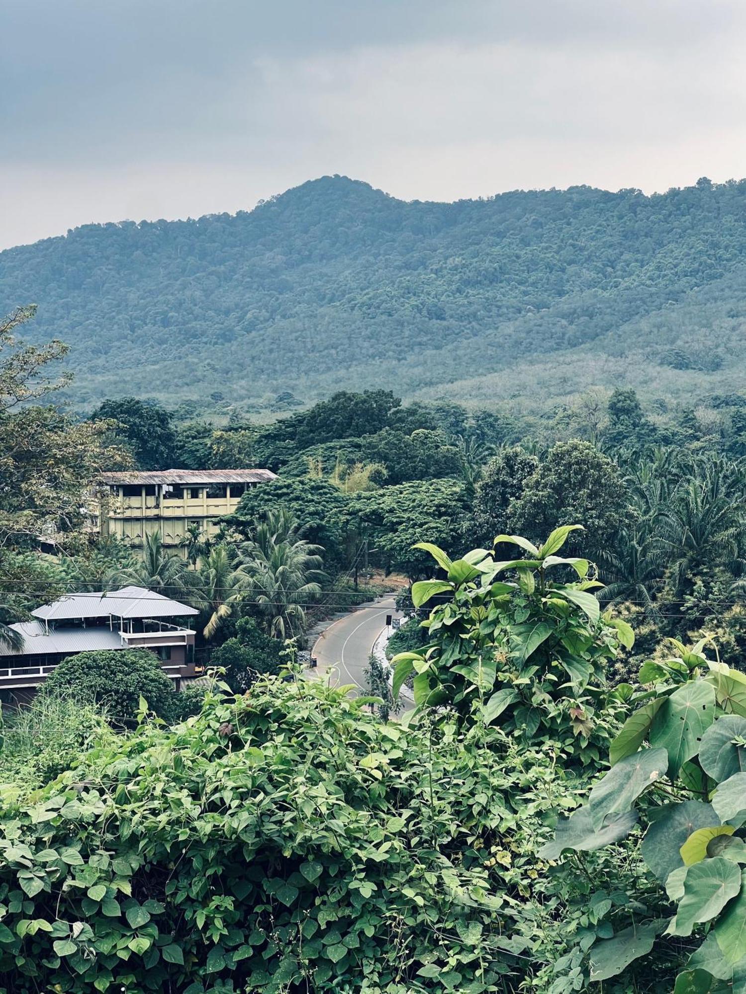 7Fort Homestay Athirappilly Eksteriør bilde